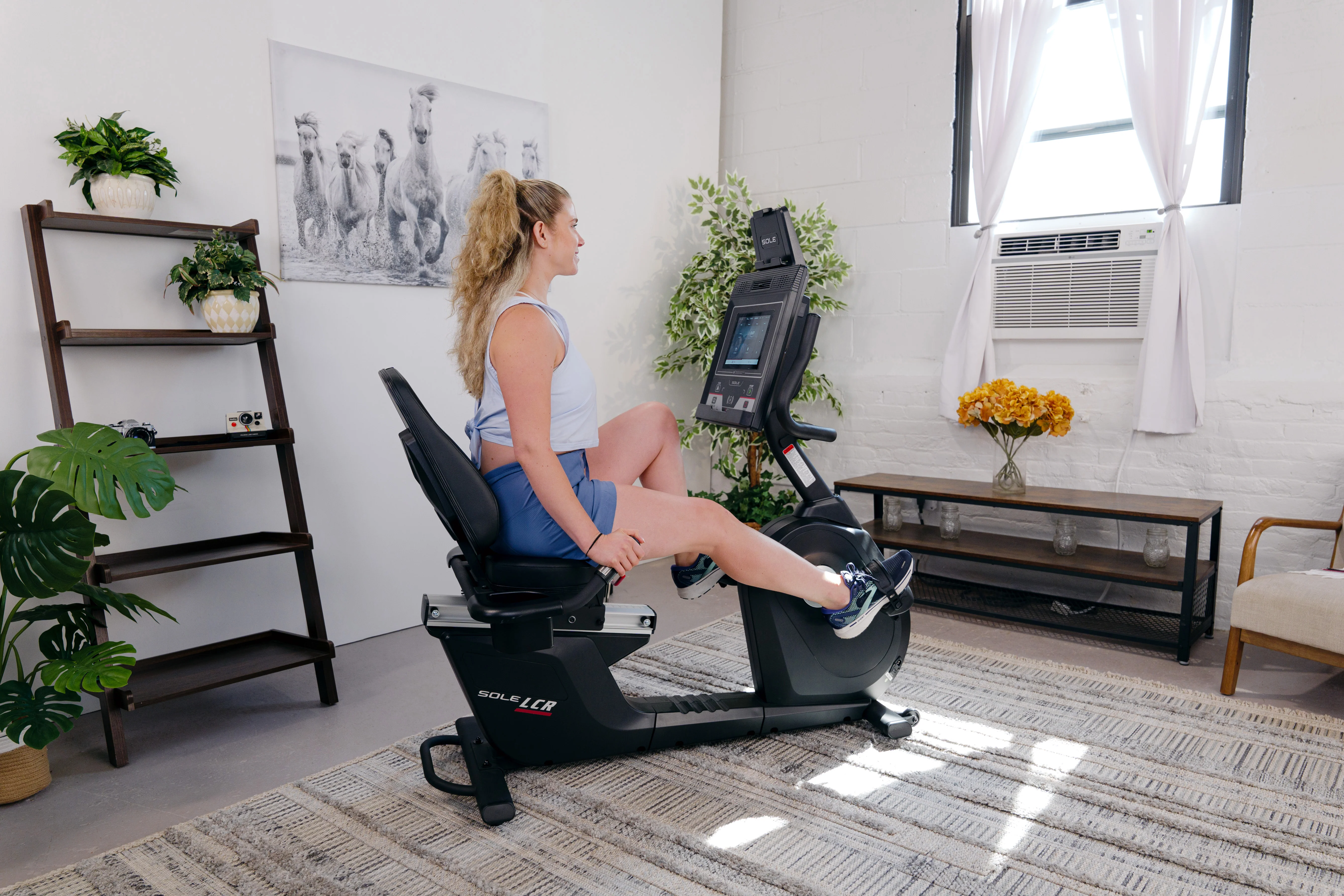 SOLE LCR Exercise Bike - Image 4